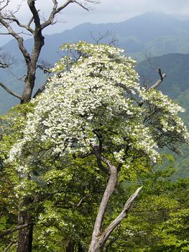 f0065941_124135.jpg