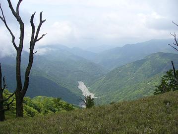 f0065941_1263688.jpg