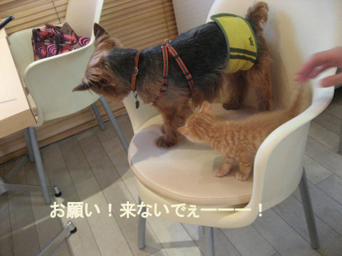 c0033145_23192527.jpg