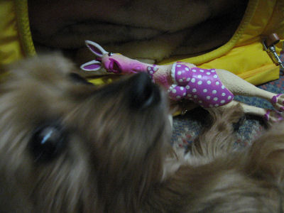 c0033145_23365836.jpg