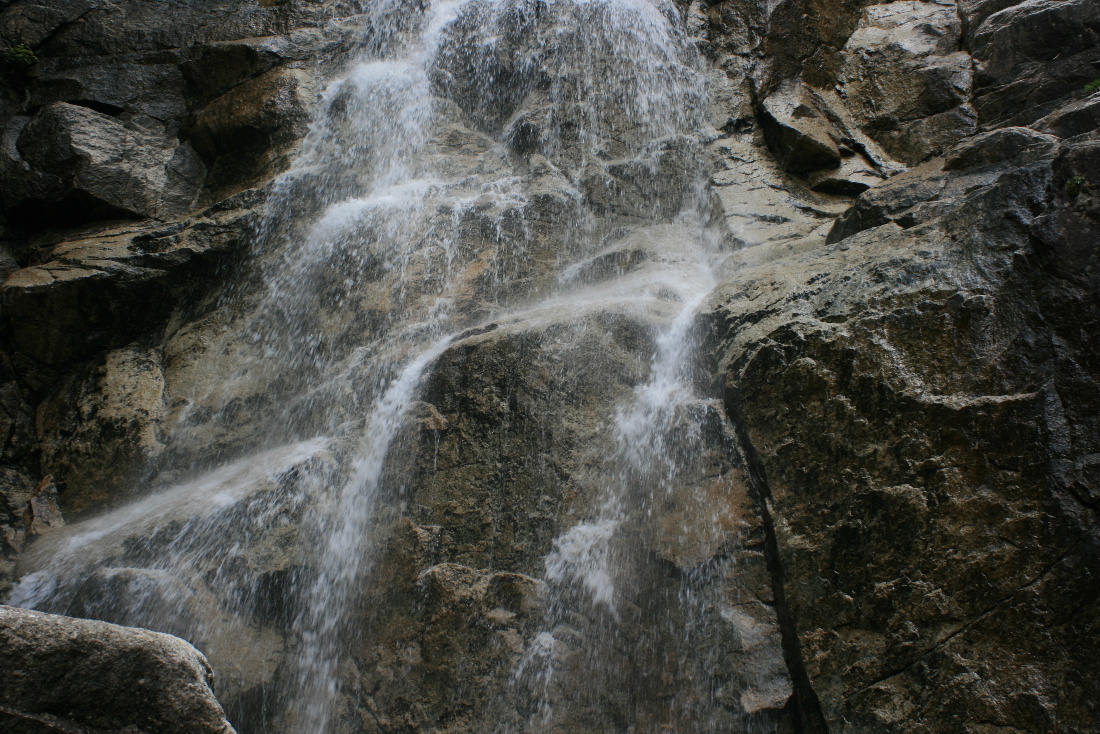 a0104448_197974.jpg