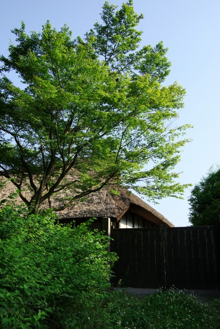 e0063851_23481765.jpg