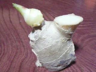 c0017259_126096.jpg