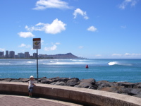 a0048361_847193.jpg