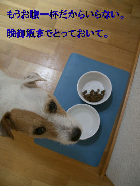 e0079166_22251747.jpg