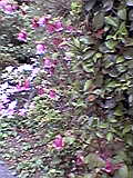 d0109373_18284890.jpg
