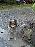 d0109373_18294430.jpg