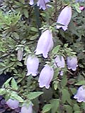 d0109373_18305371.jpg