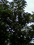 d0109373_18312363.jpg