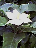 d0109373_194419.jpg