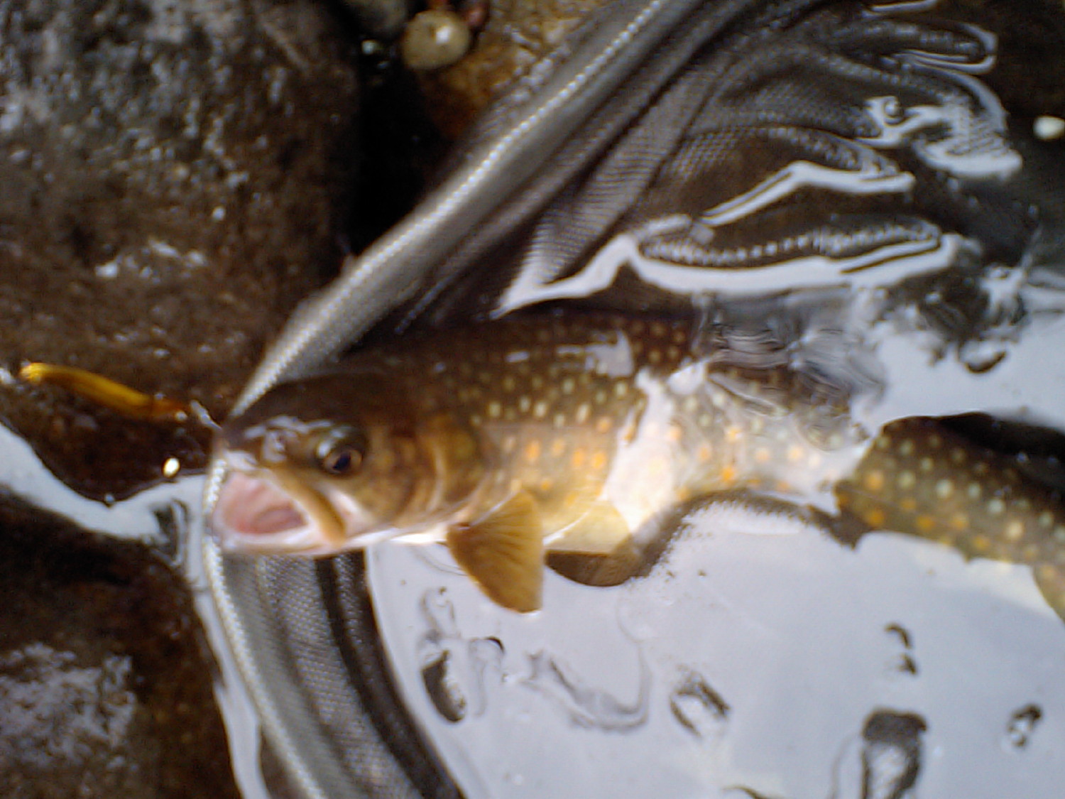 a0093677_2214291.jpg