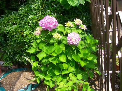 c0078480_23422472.jpg
