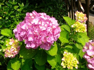 c0078480_23435939.jpg