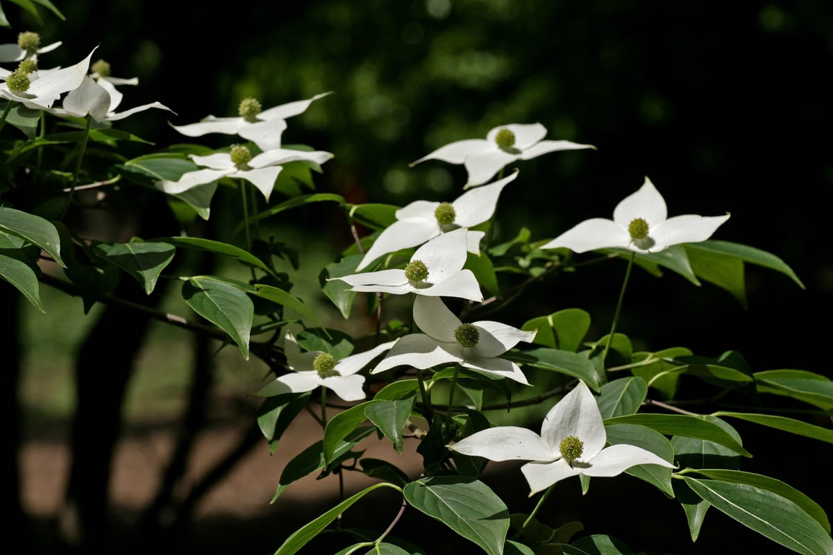 a0083081_18281476.jpg