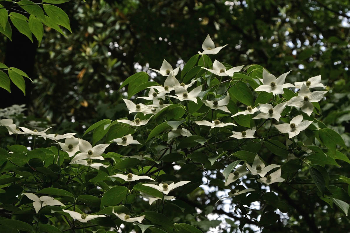a0083081_18282199.jpg