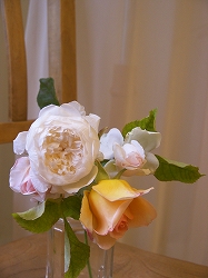 e0043686_11233798.jpg