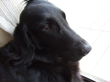 d0070289_2114561.jpg