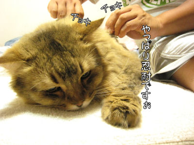 a0045990_1585740.jpg