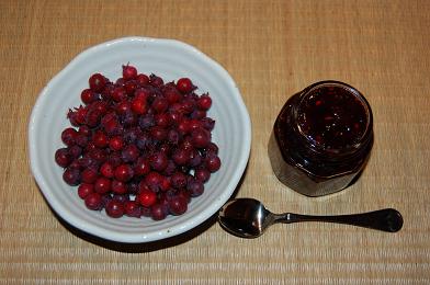 a0075993_21344939.jpg