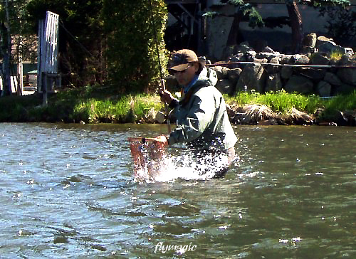 e0035597_2235864.jpg
