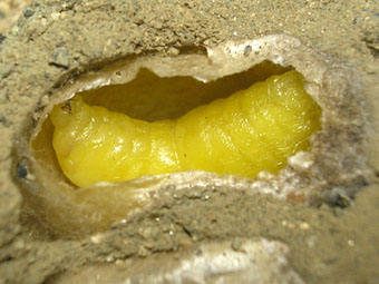 e0083097_22475793.jpg