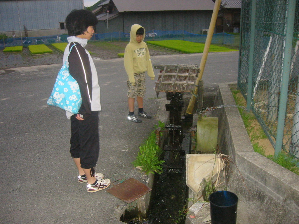 f0013998_538558.jpg
