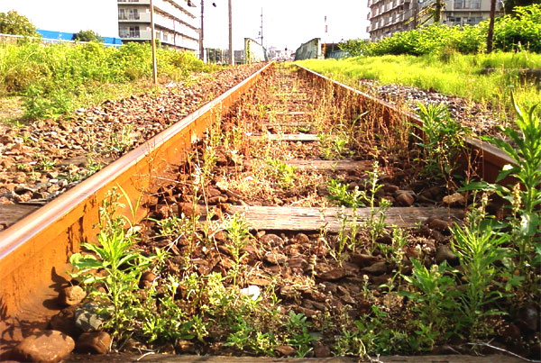 a0029899_8313814.jpg