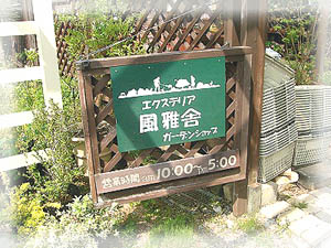 b0097101_17384230.jpg