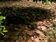 e0012808_1275045.jpg