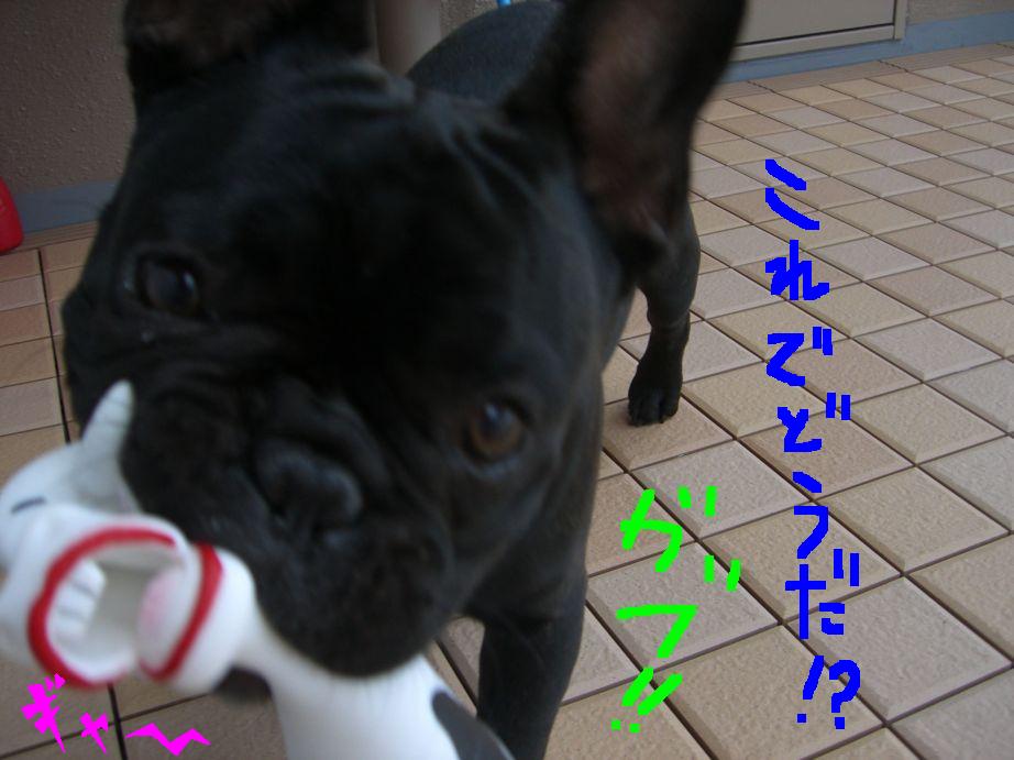 c0113109_23214963.jpg