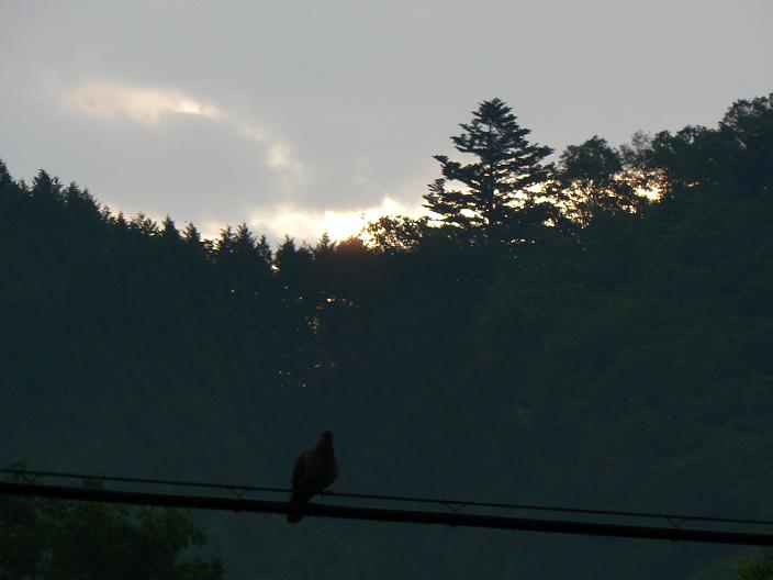 c0086014_21252870.jpg