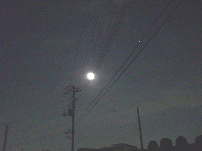 c0006017_1444417.jpg