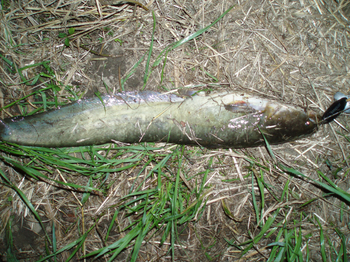 c0006017_1451861.jpg
