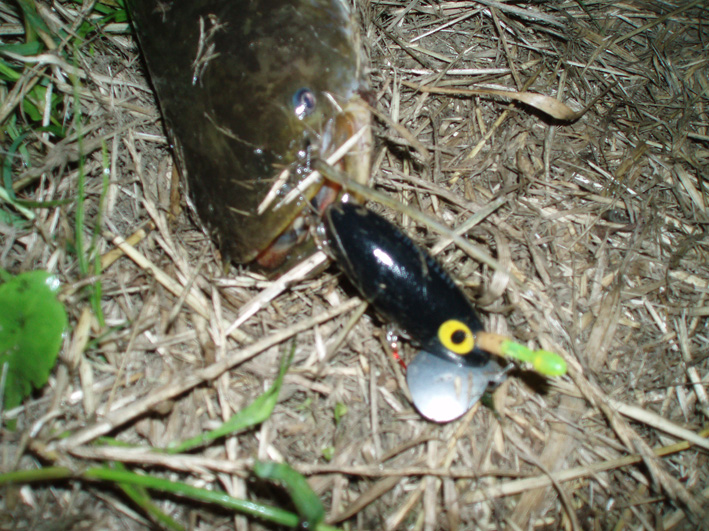 c0006017_1455148.jpg