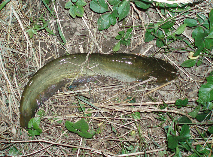 c0006017_1555624.jpg