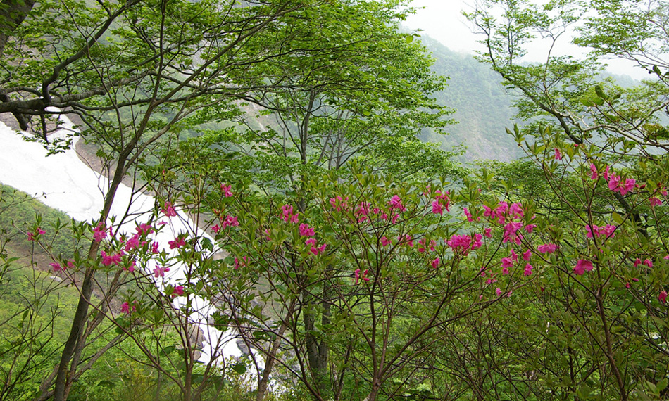 b0062024_22351573.jpg