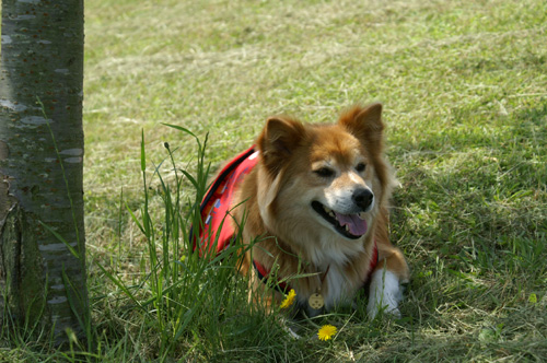 c0030624_2173750.jpg