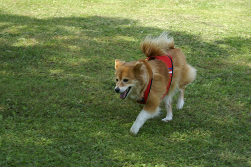 c0030624_2174768.jpg