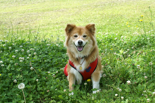 c0030624_2184030.jpg