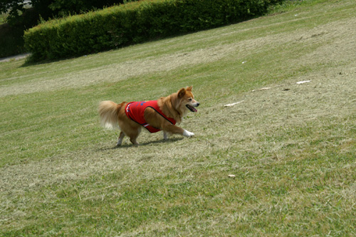 c0030624_2192865.jpg