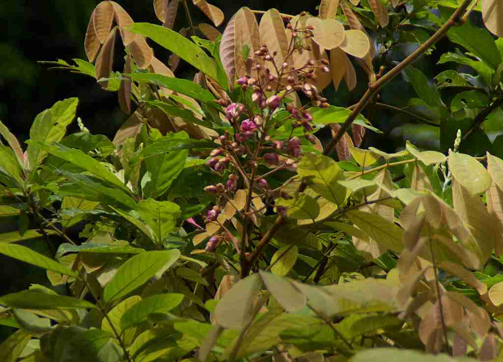 d0053930_17214367.jpg