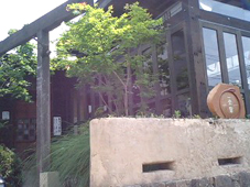 b0094236_14395151.jpg
