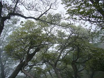 f0065941_17302265.jpg