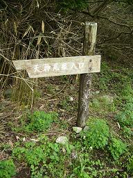 f0065941_17573346.jpg