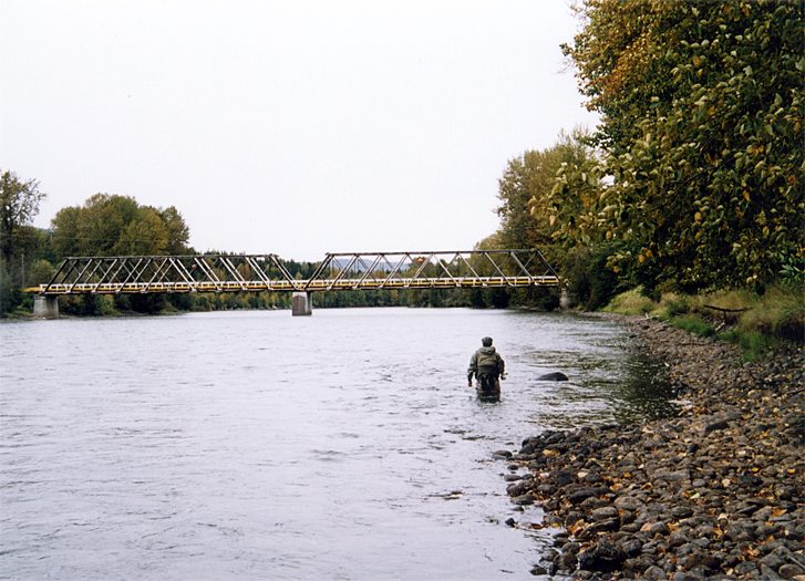 f0084544_1203878.jpg