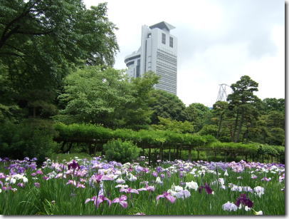 5月7日小石川後楽園