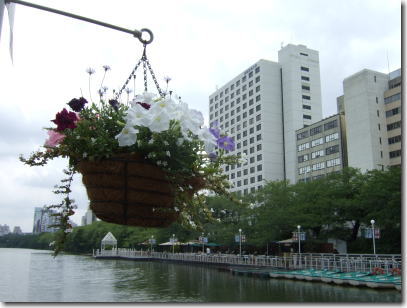 5月7日カナルカフェ