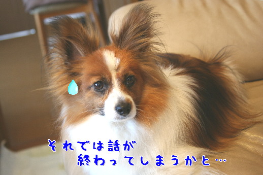 d0013149_8191873.jpg