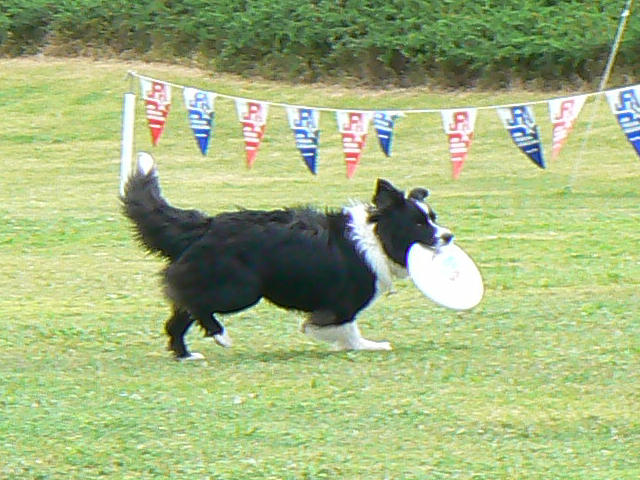 e0111449_15234737.jpg