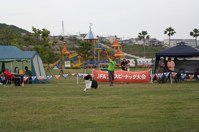 e0111449_15352493.jpg